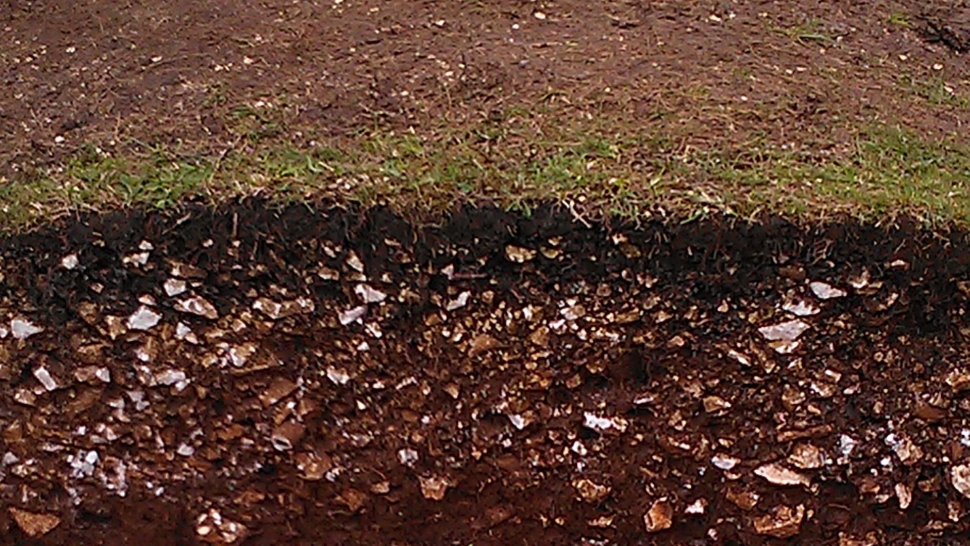 File:Archaeological stratigraphy at Goosehill Camp.jpg