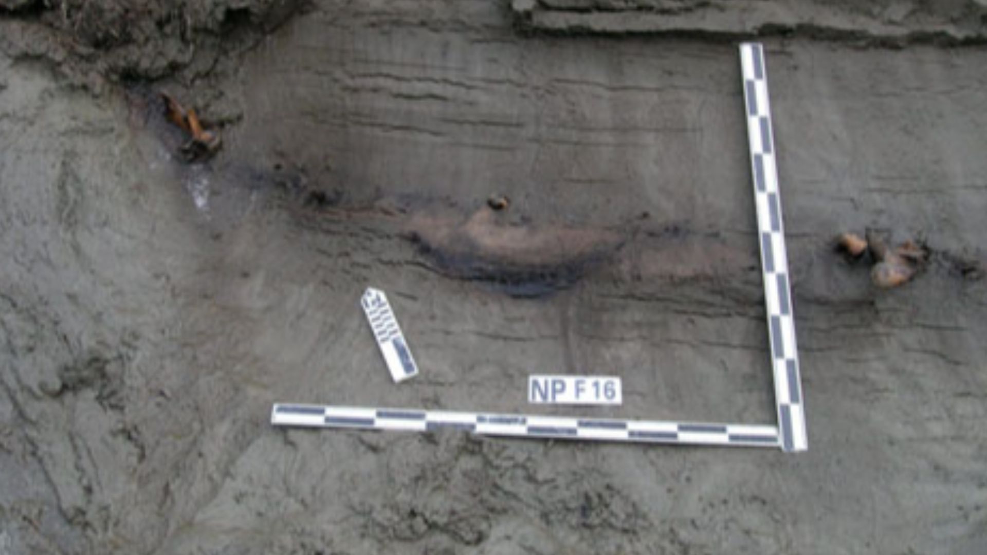 File:Hearth structures opened in the culture-bearing deposits of the Yana site complex.jpg