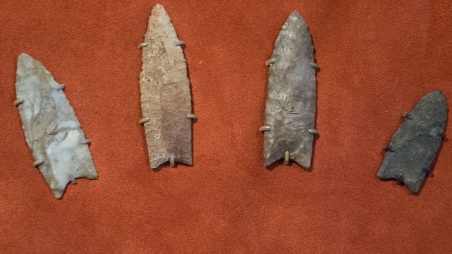 File:Clovis spearpoints - Cleveland Museum of Natural History.jpg