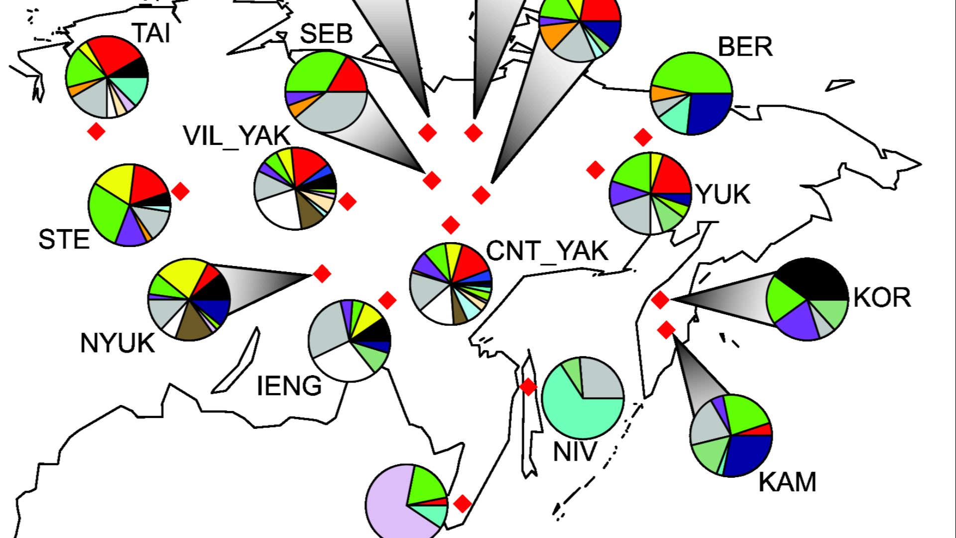 File:Map of Siberia - basic mtDNA haplogroup composition.png