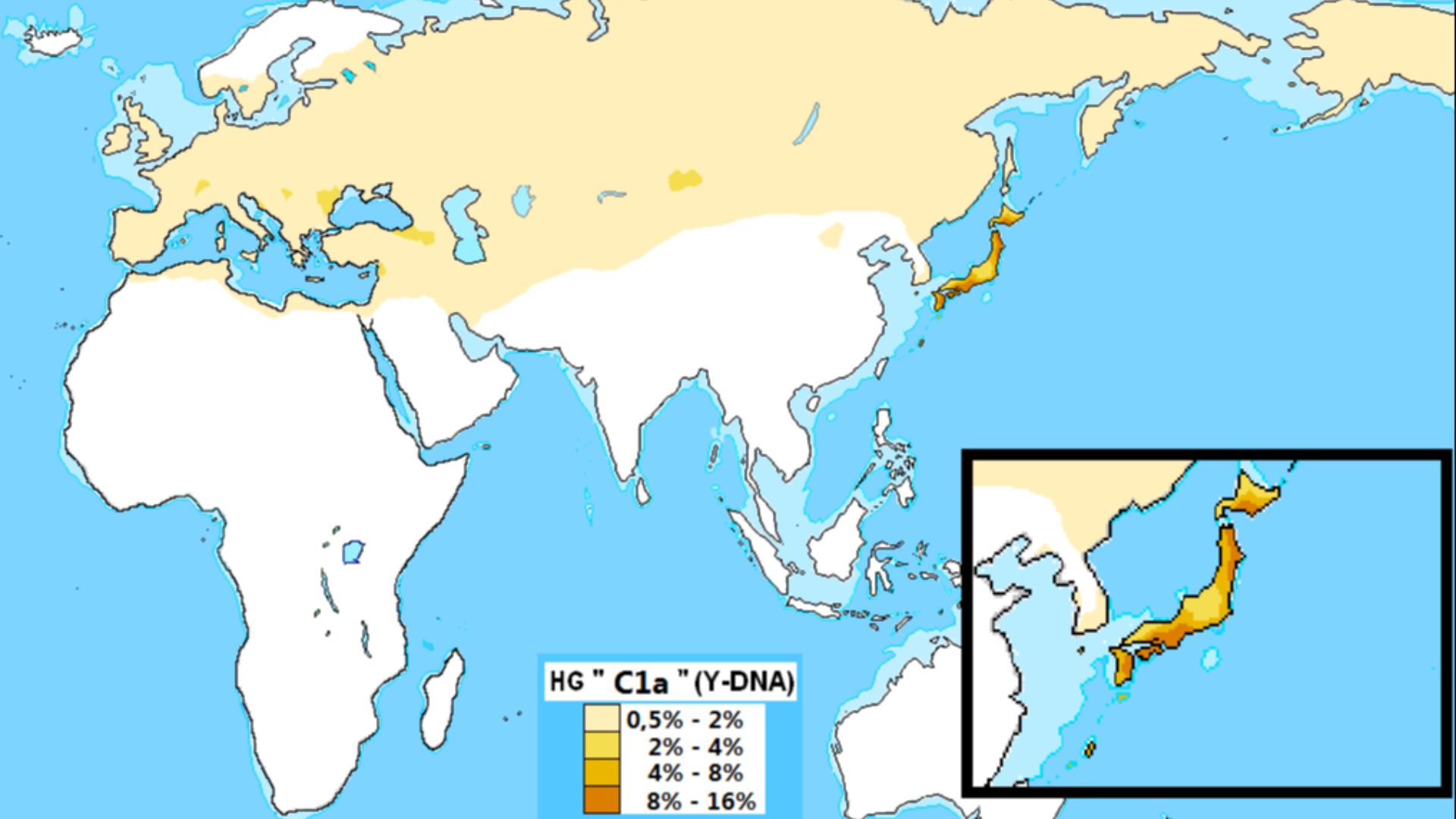File:Haplogrupo C1a (ADN-Y).png