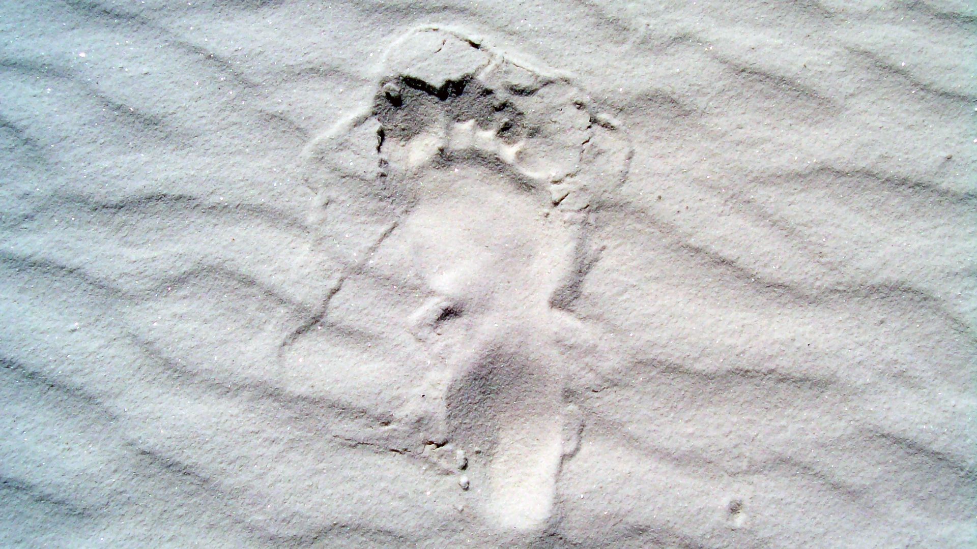 File:Whitesands-footprint.jpg