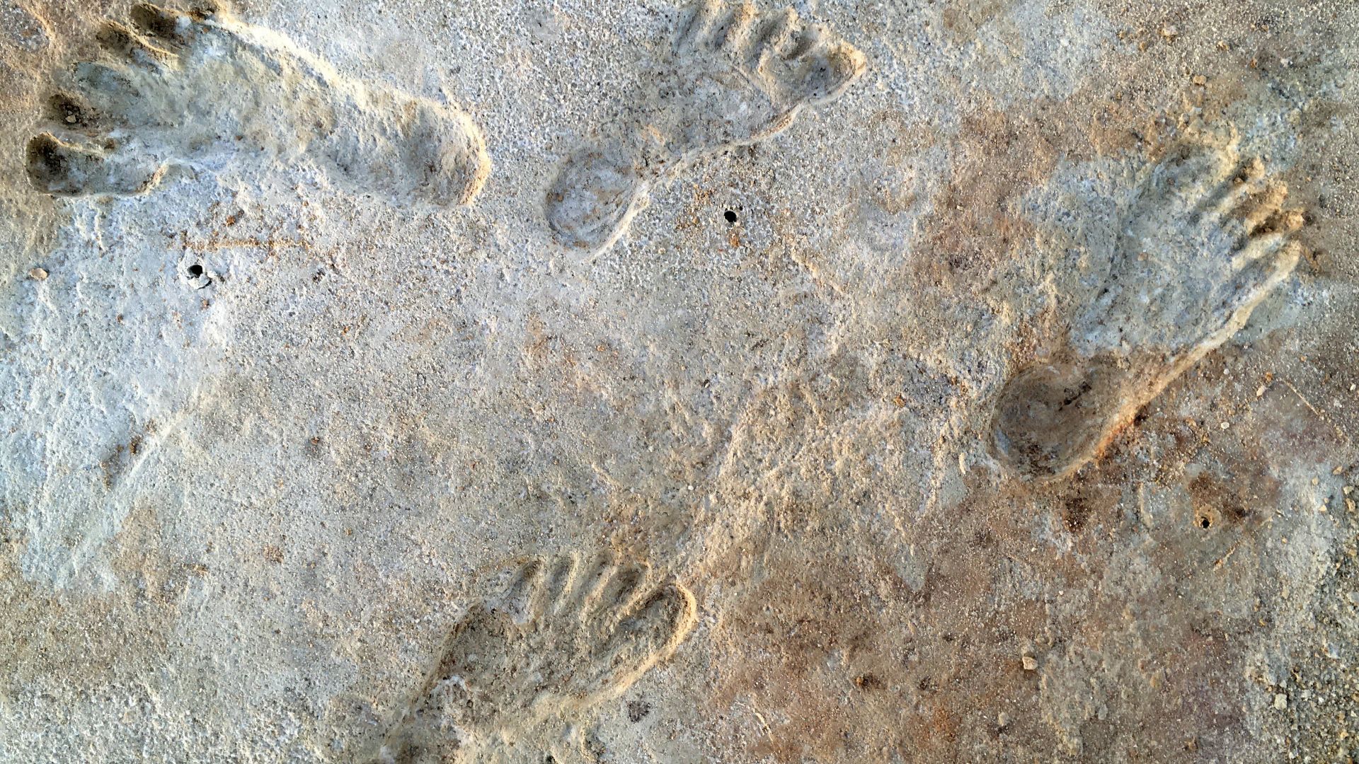 File:Human fossil tracks at White Sands New Mexico.jpg