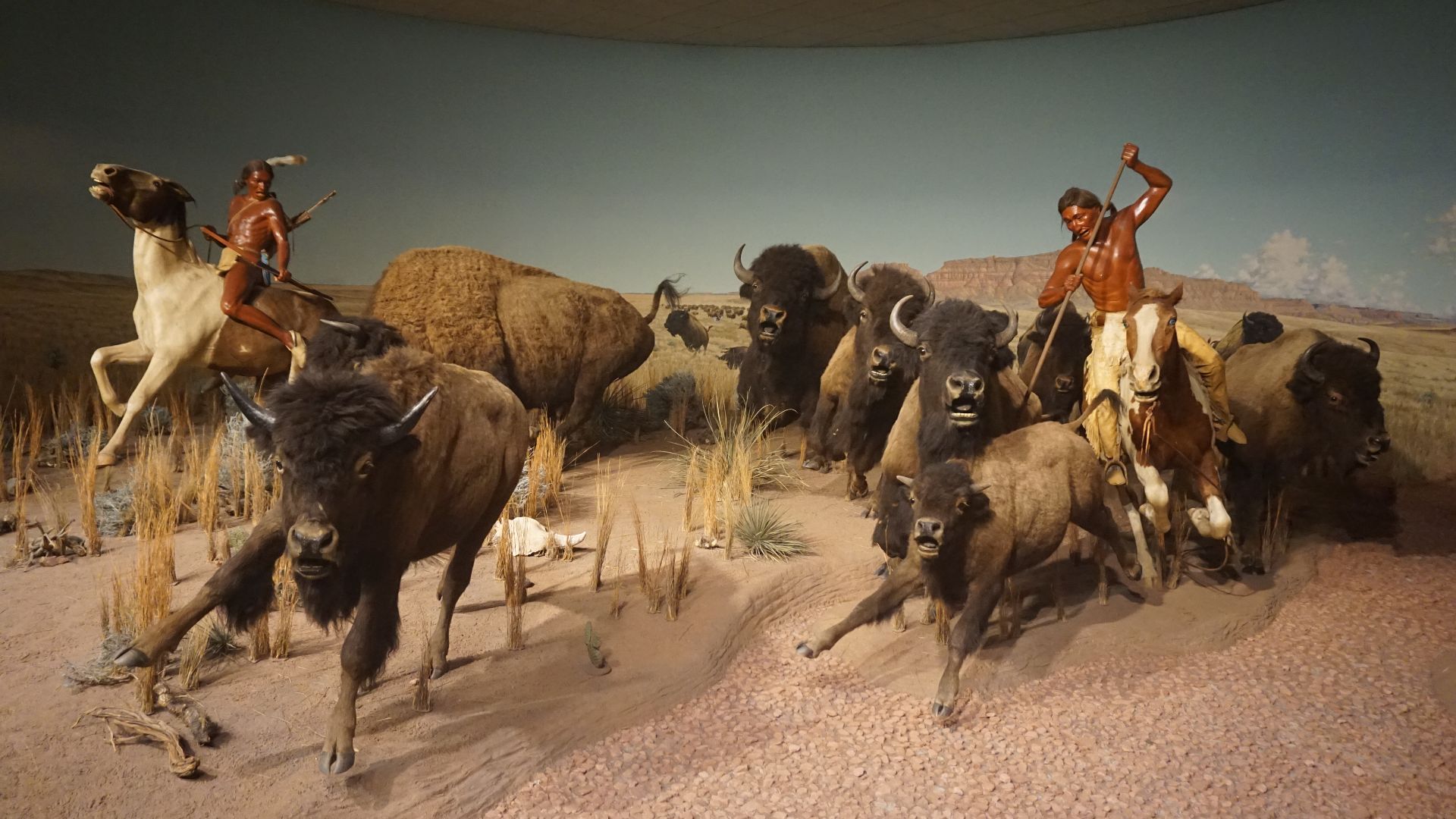 File:Milwaukee Public Museum March 2023 31 (North American Indians- A Tribute to Survival--Crow Indian Bison Hunt).jpg