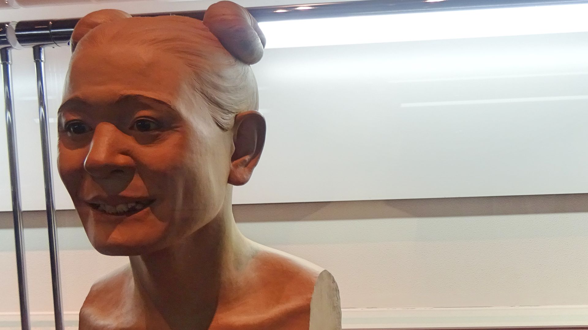 File:Jomon people Skull and Restoration model - Niigata Prefectural Museum of History.jpg