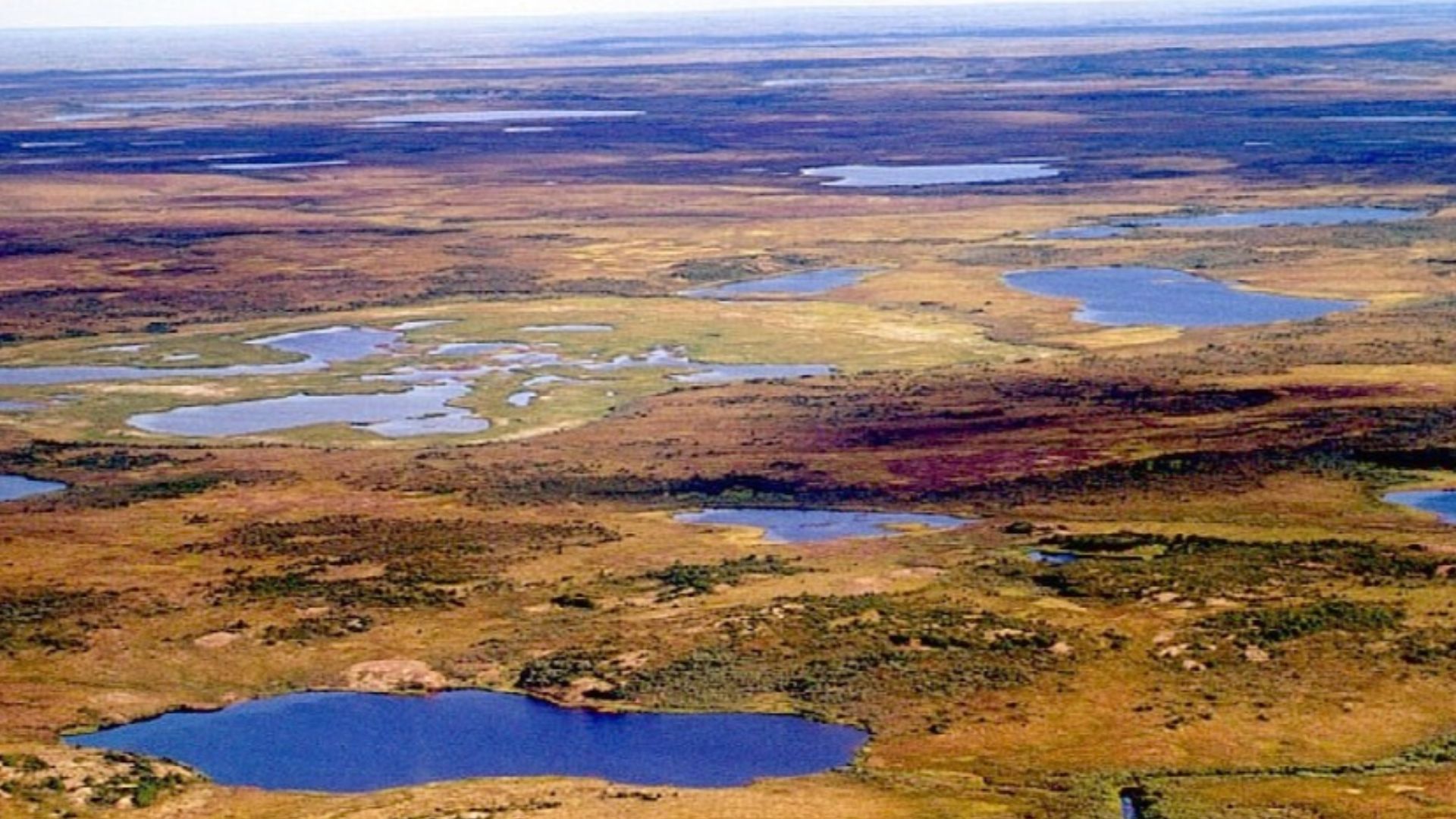 File:Tundra in Siberia.jpg