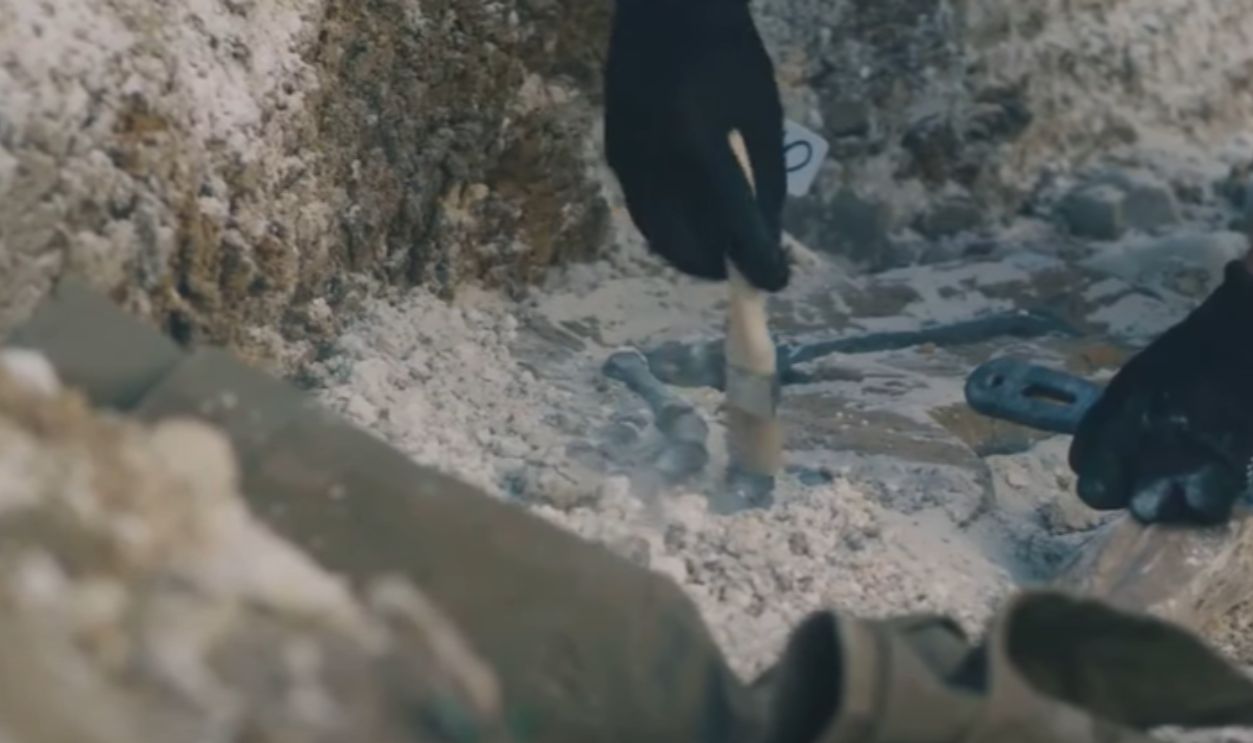 In The Deep Blue Sea