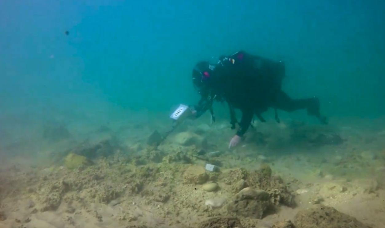 Anchoring The Evidence