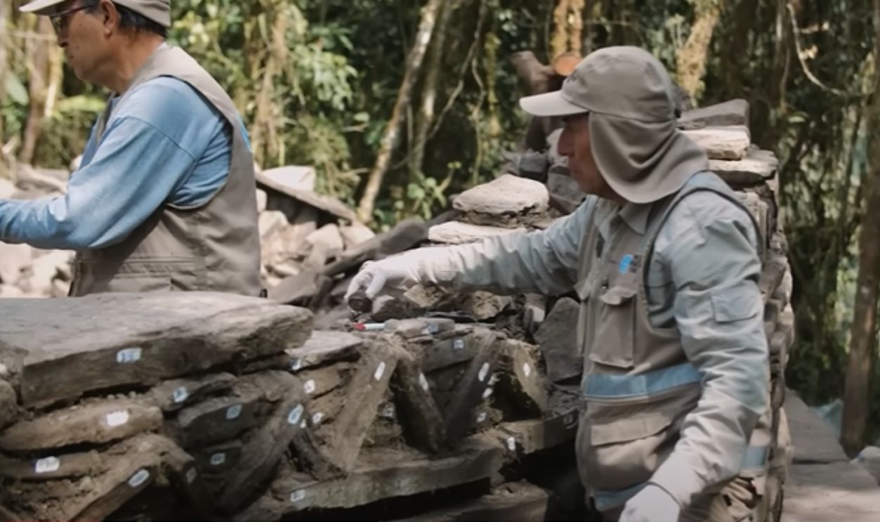 A Lost World Beneath The Canopy