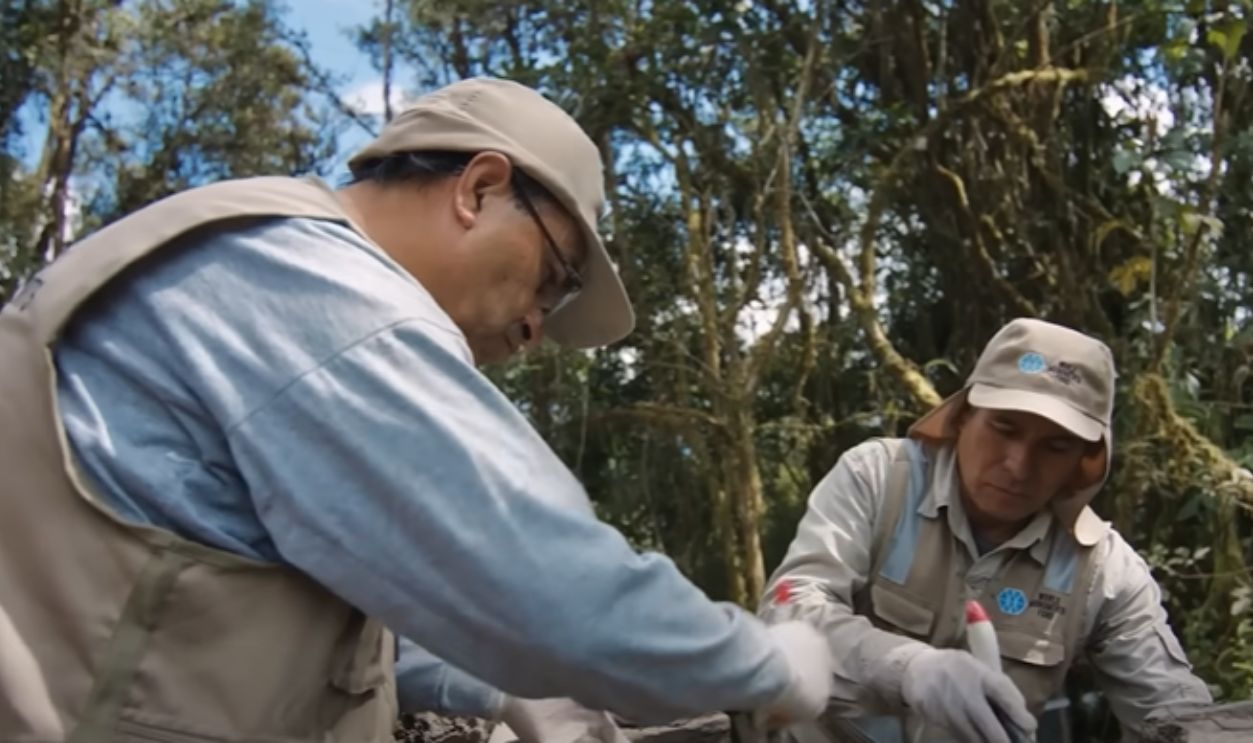 Archaeology Now Begins With Ecology