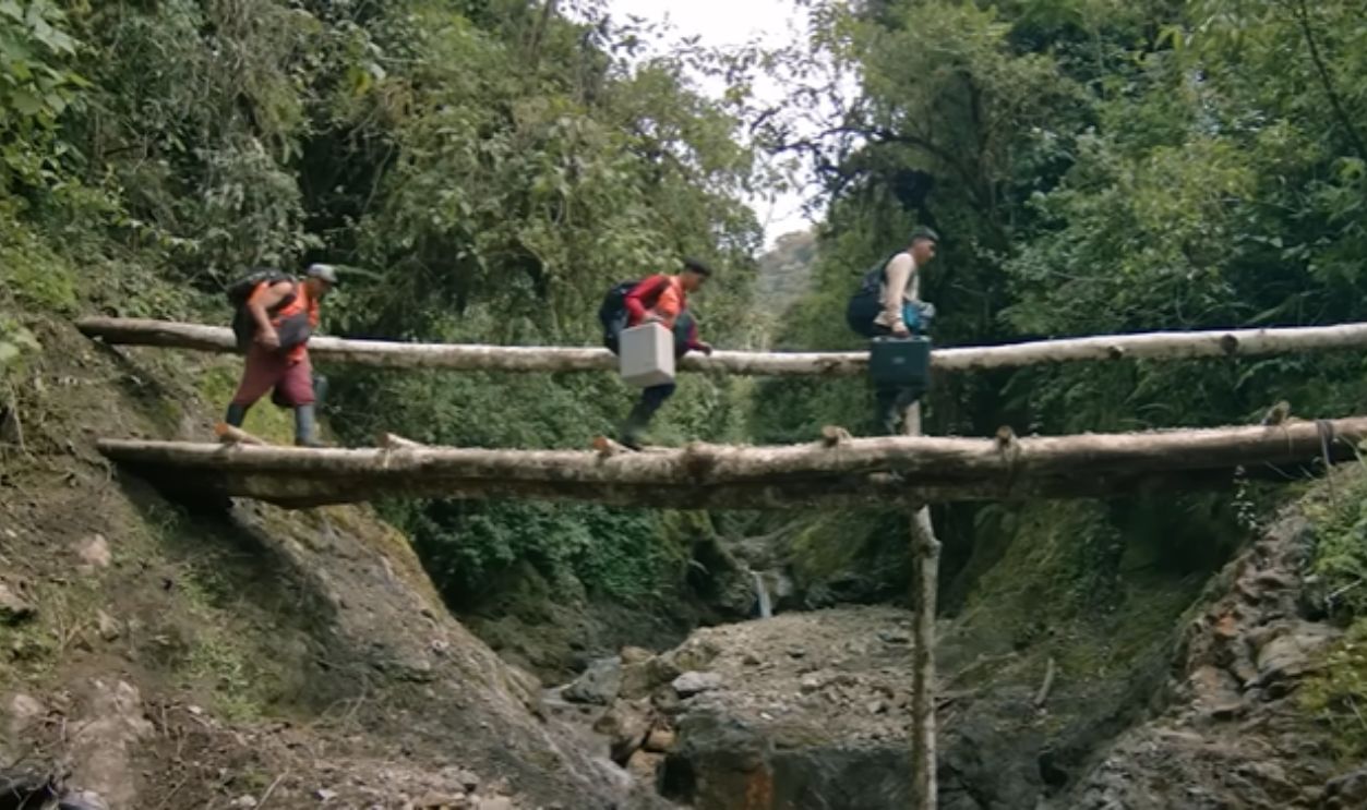 Conservation Means Working With The Forest, Not Against It