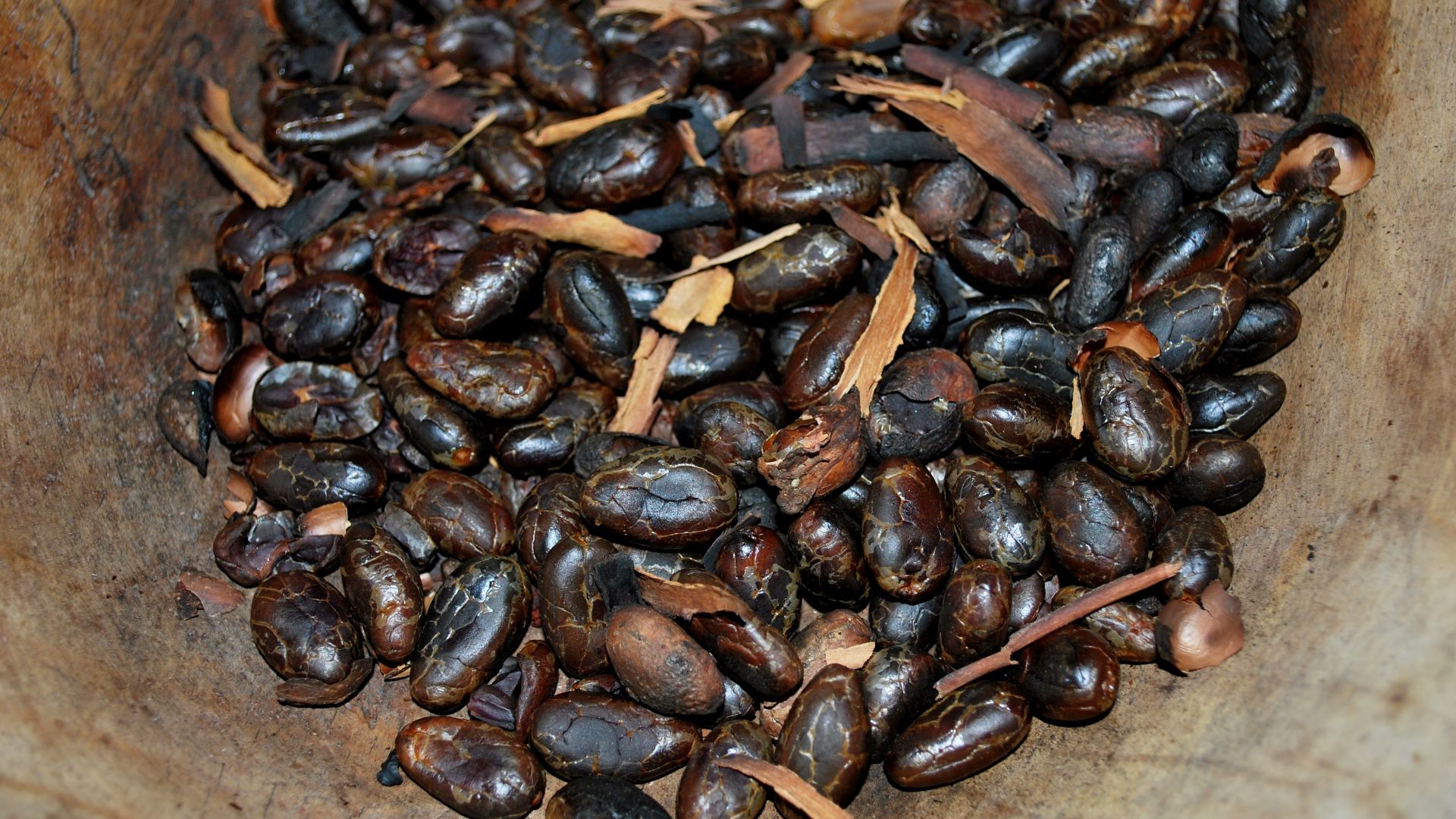 File:CacaoChonita14.JPG