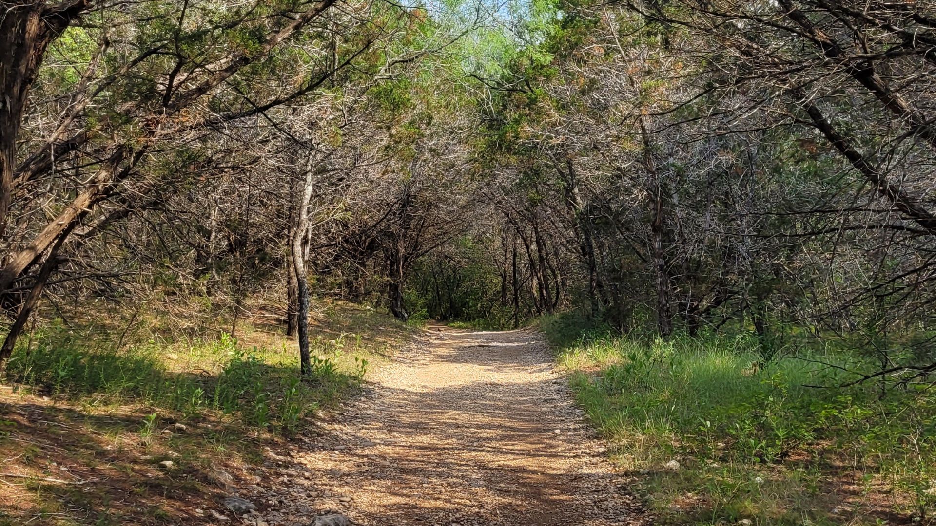 File:Gov Canyon trail.jpg