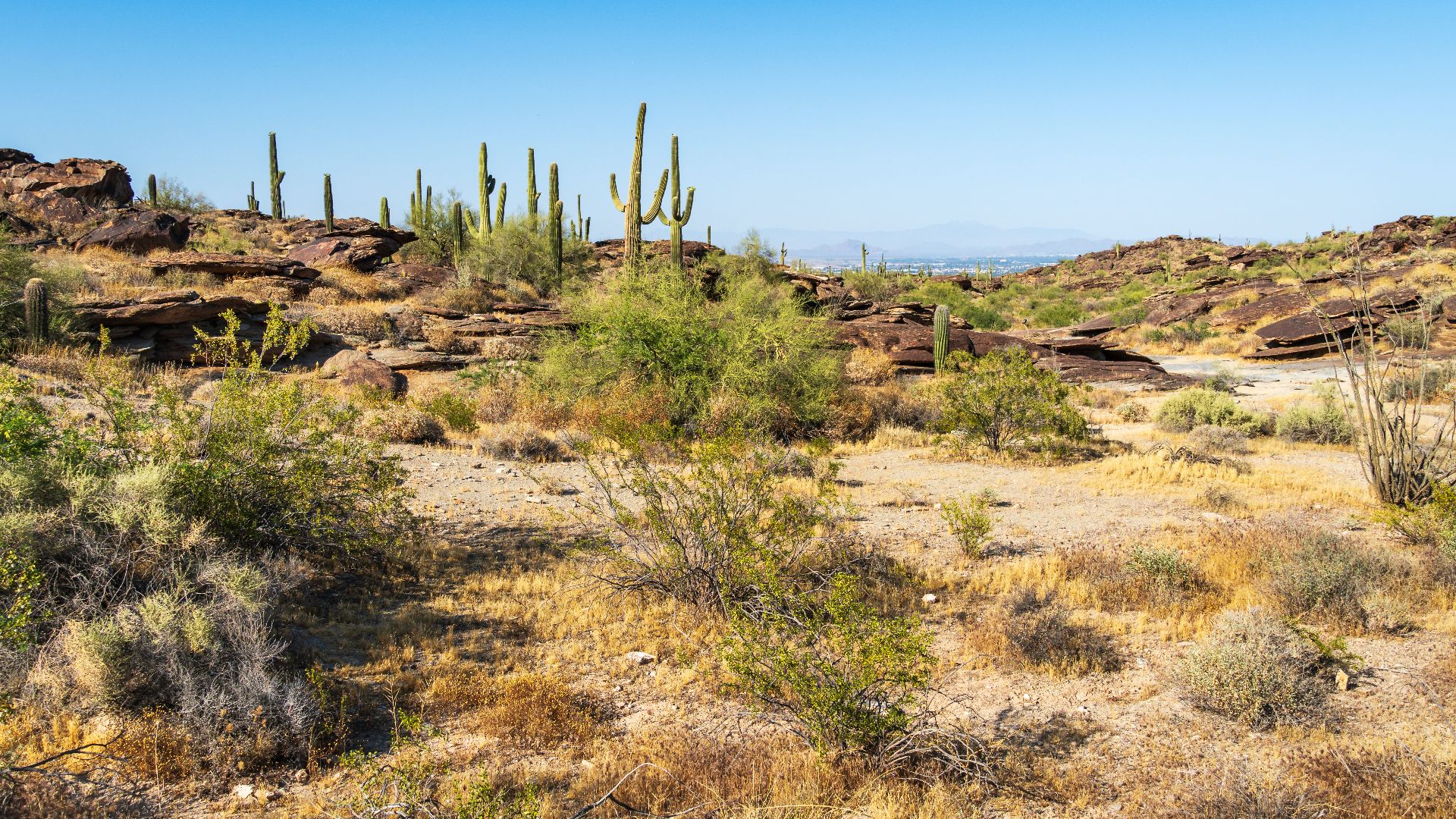 File:South Mountain Park, Phoenix, Arizona, USA (54403134809).jpg