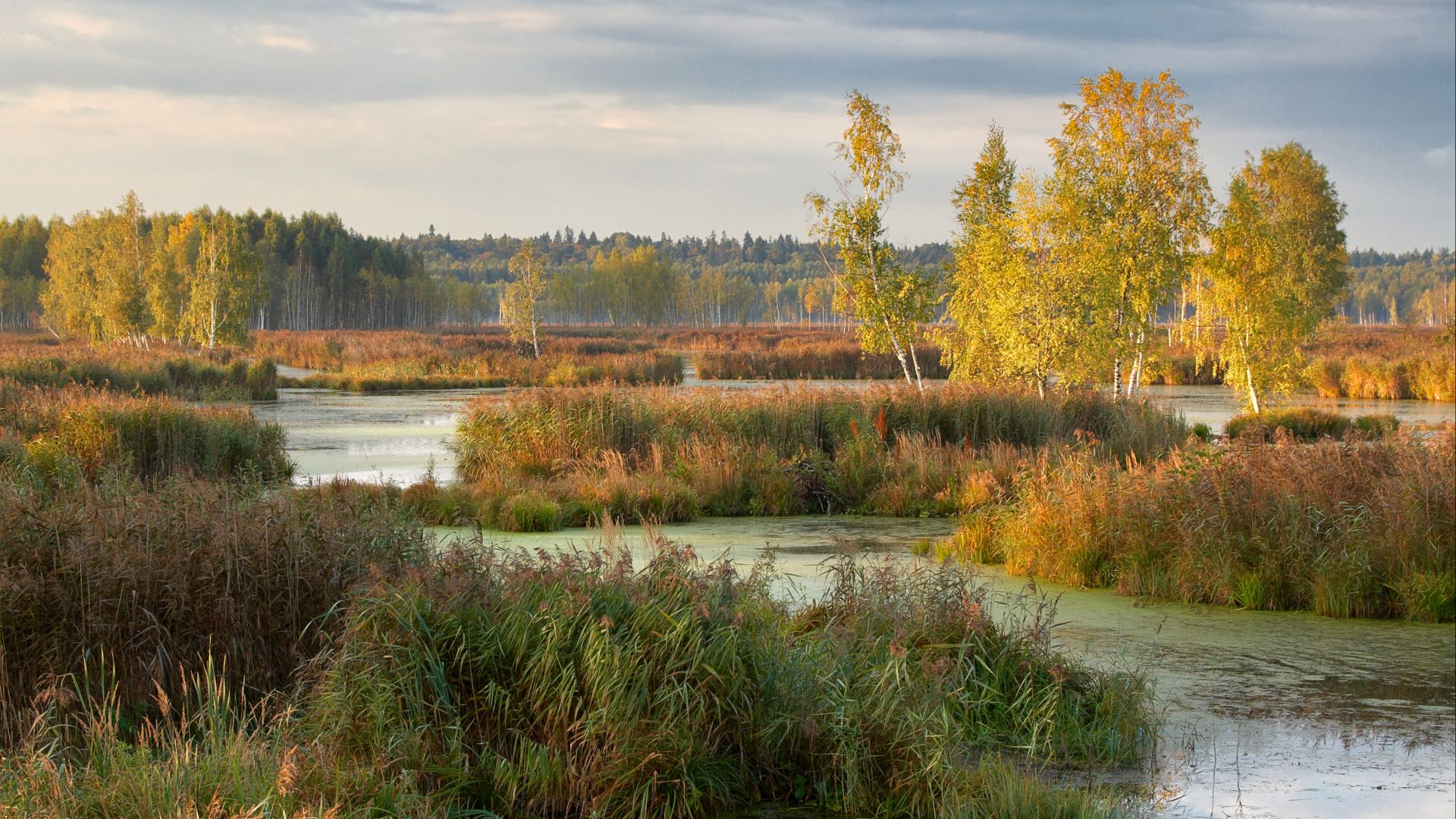 File:Losiny Ostrov 2009-09-22.jpg