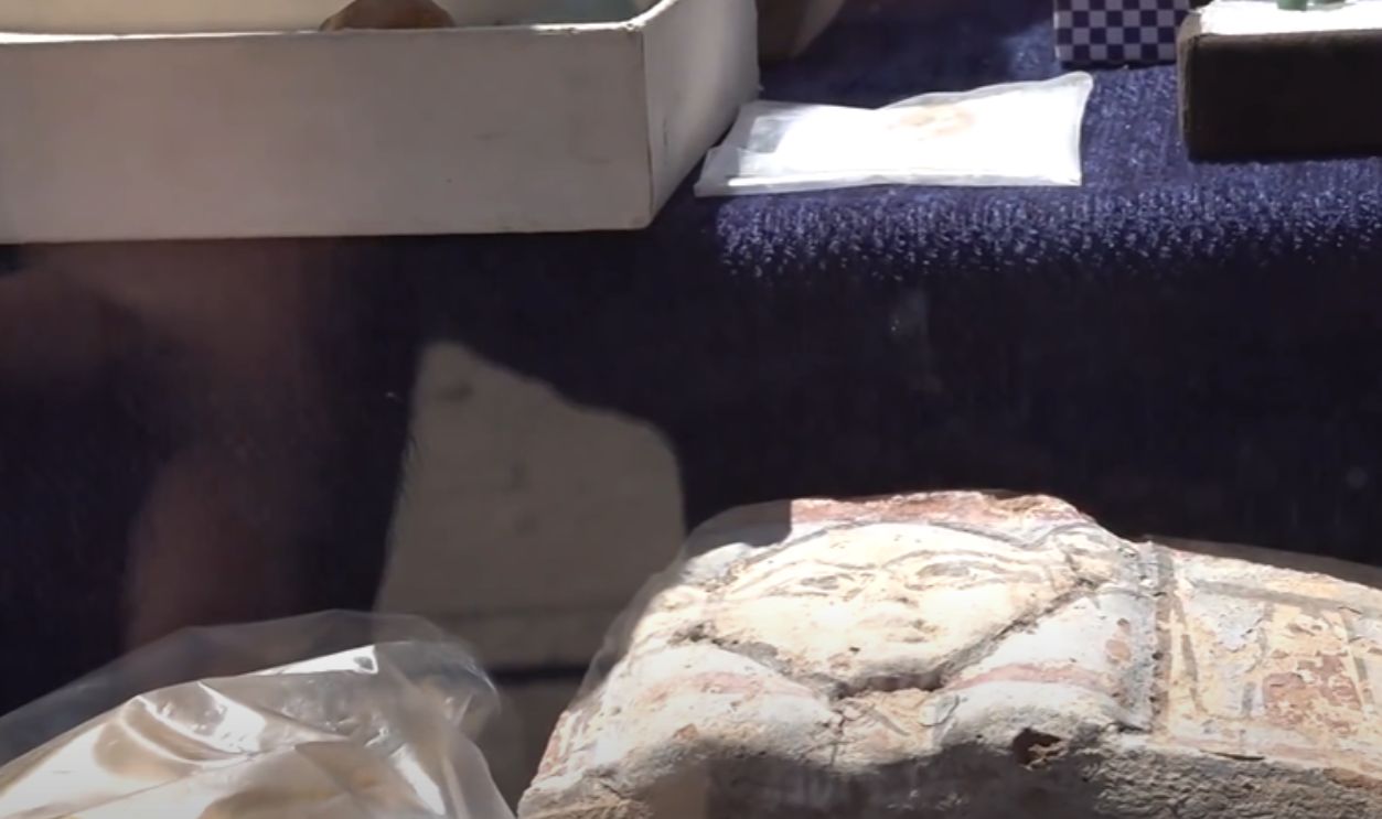 Humans Behaving Like Humans