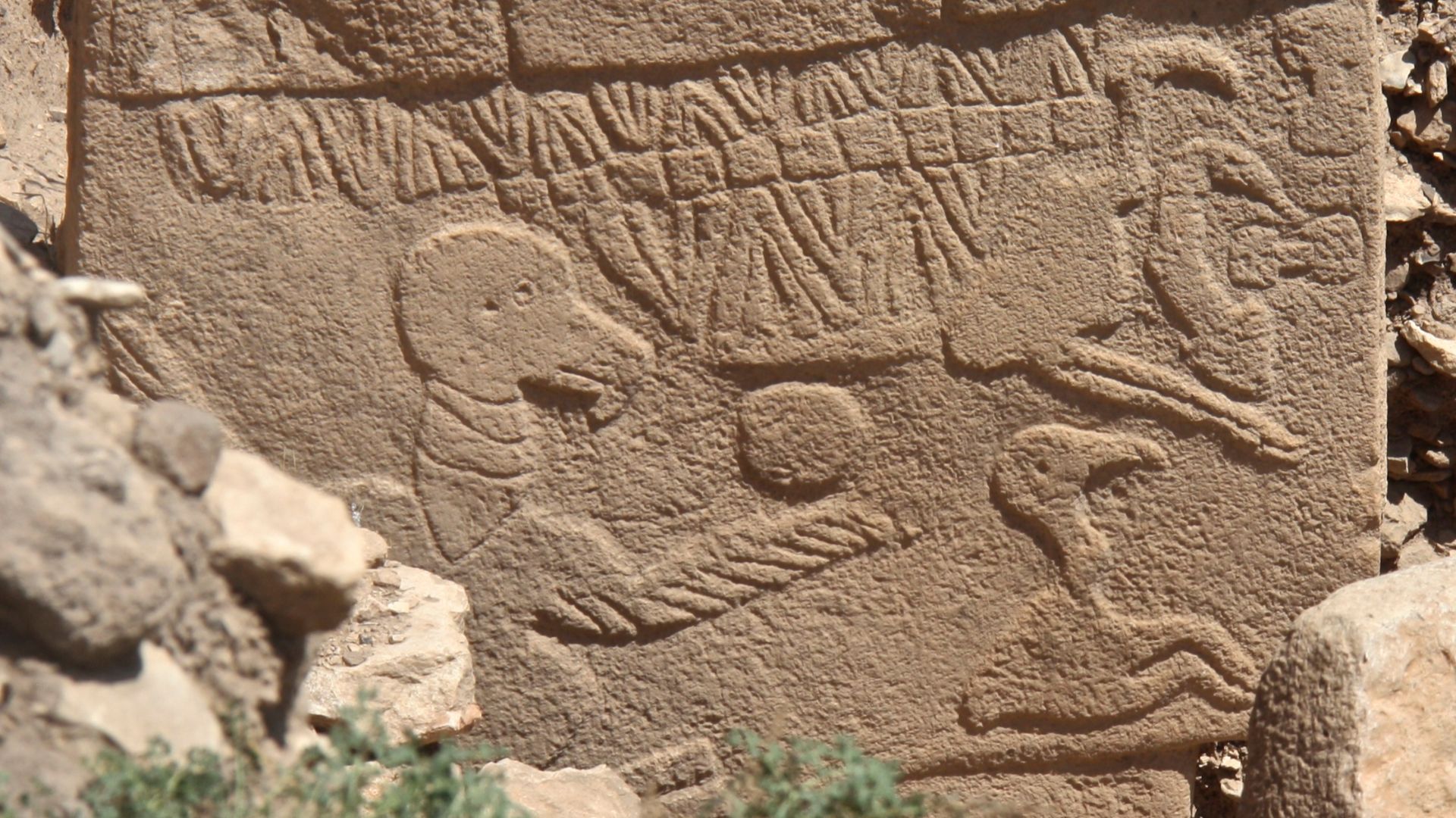 File:Vulture Stone, Gobekli Tepe, Sanliurfa, South-east Anatolia, Turkey (cropped).jpg