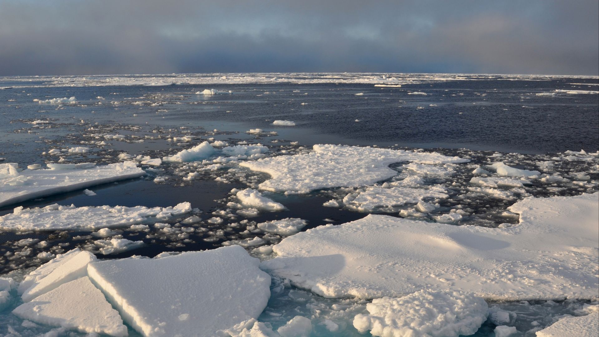 File:Arctic ice.jpg