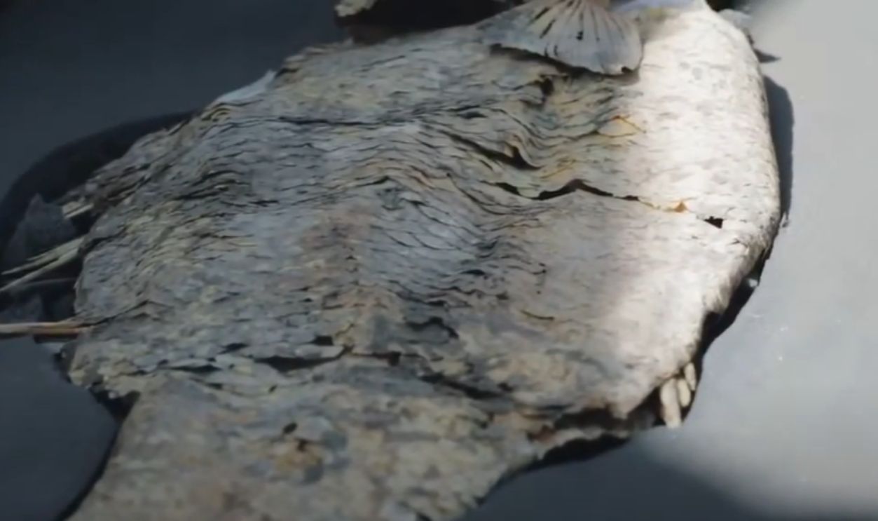 The Strangest Unearthing Of All