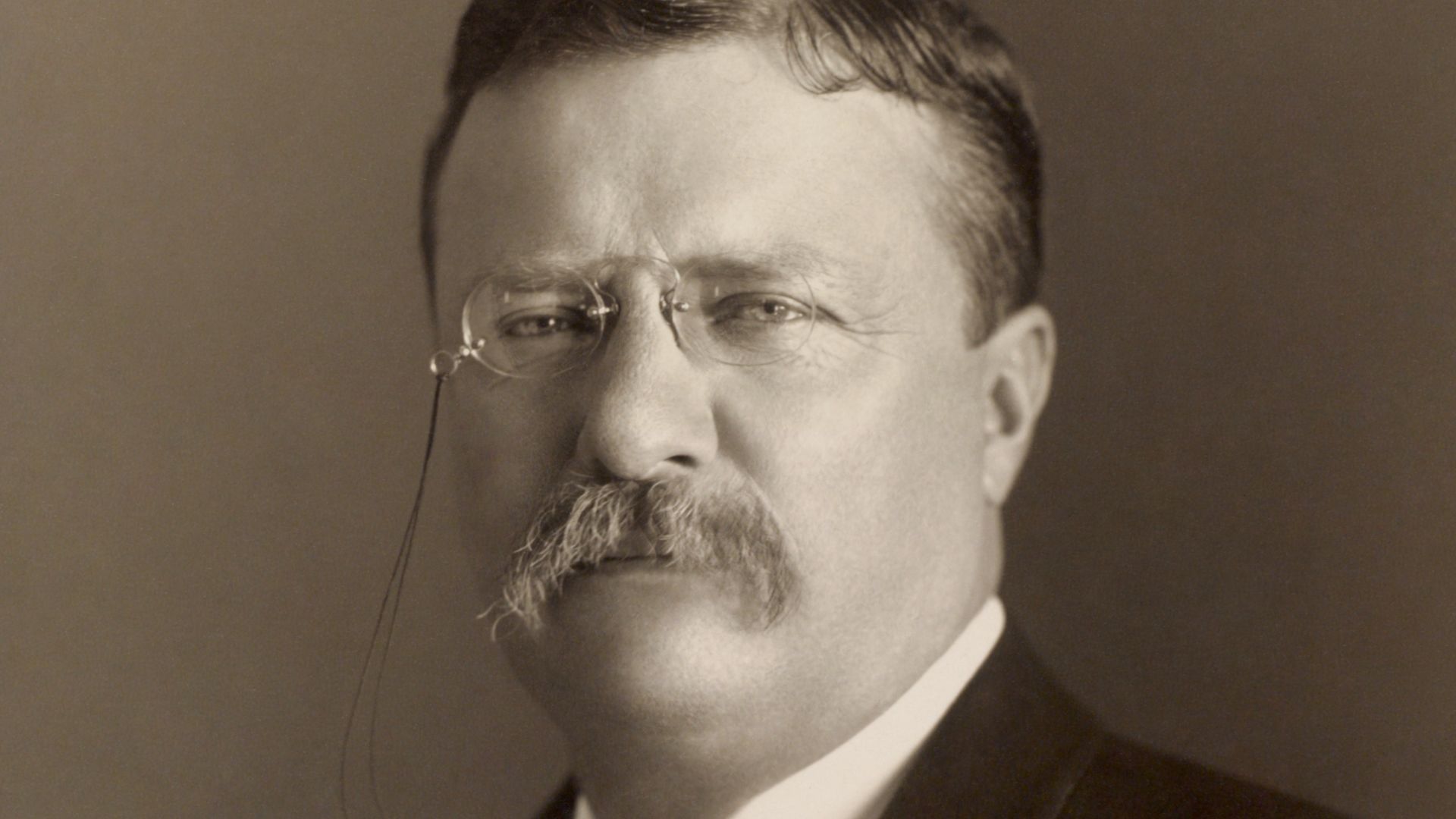File:Theodore Roosevelt by the Pach Bros.png