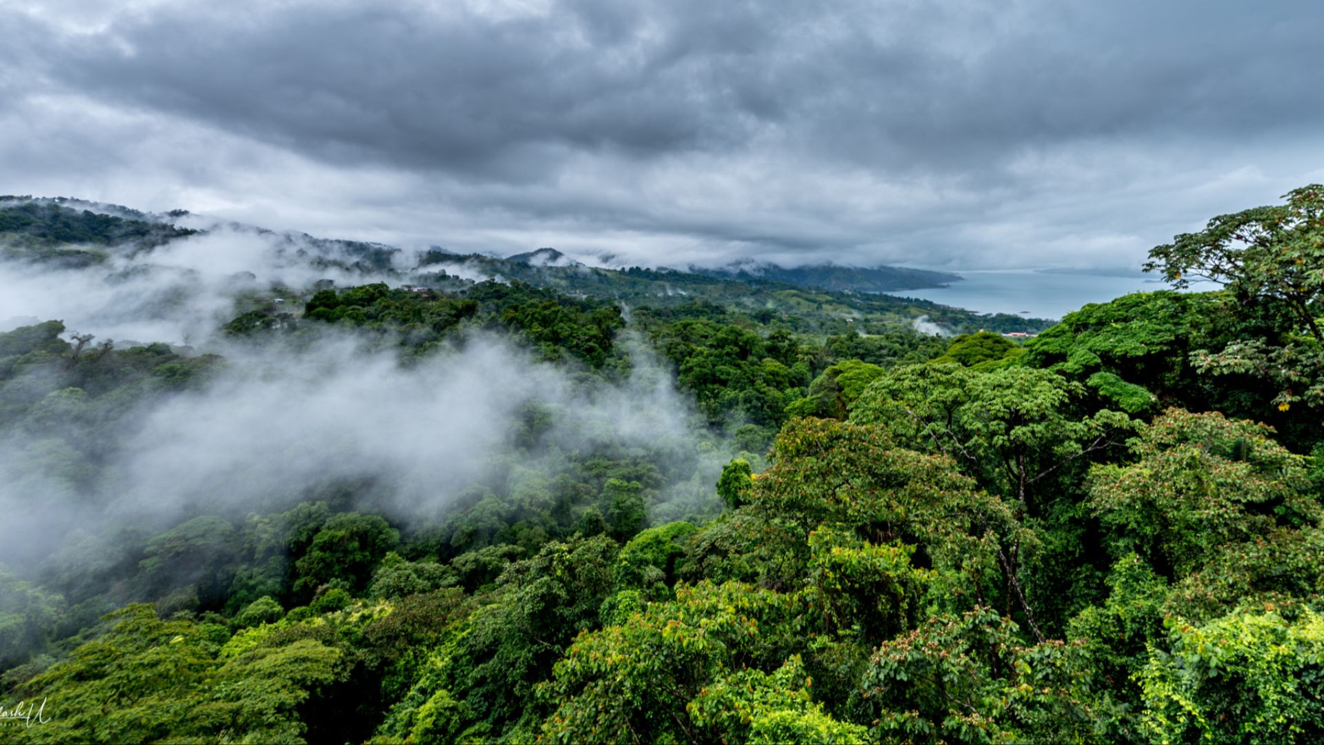 File:Cloud Forest (260448263).jpeg