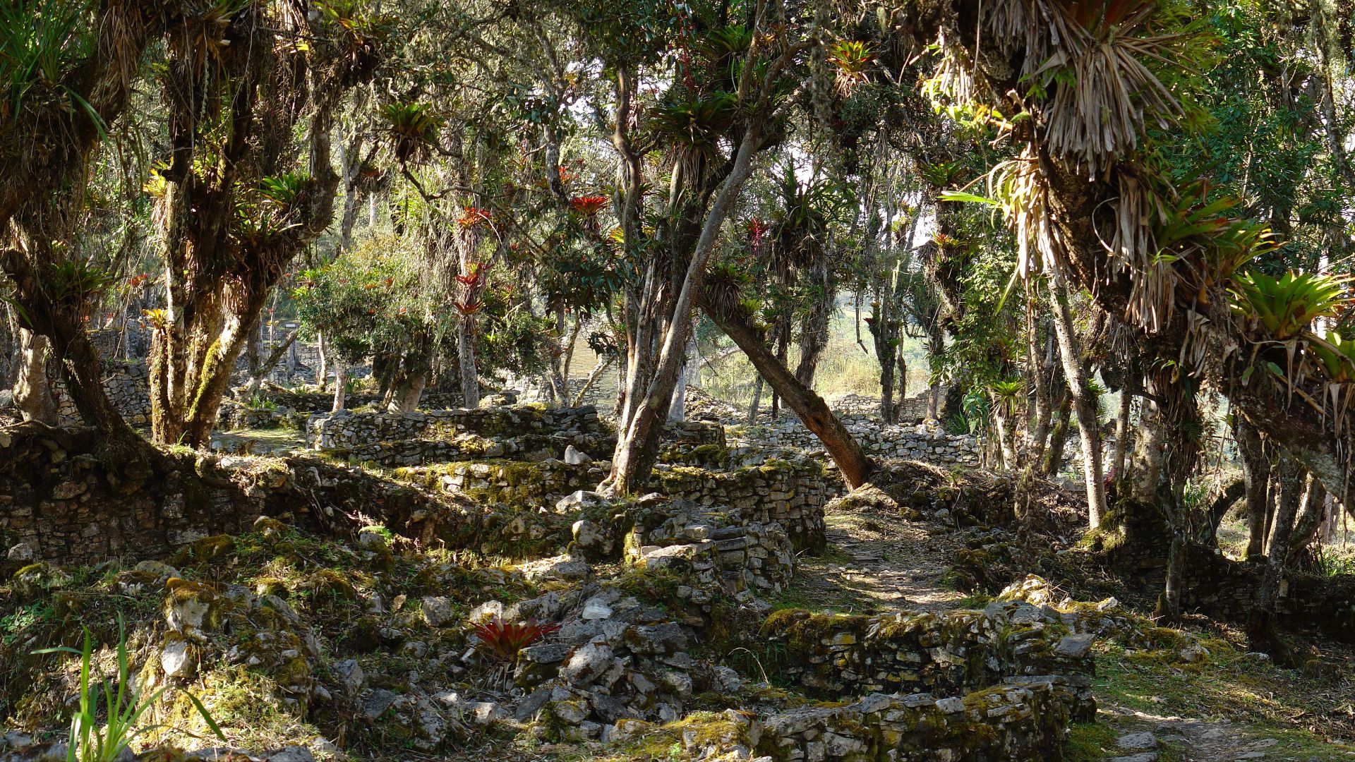 File:Kuelap - Août 2007 - 08.jpg