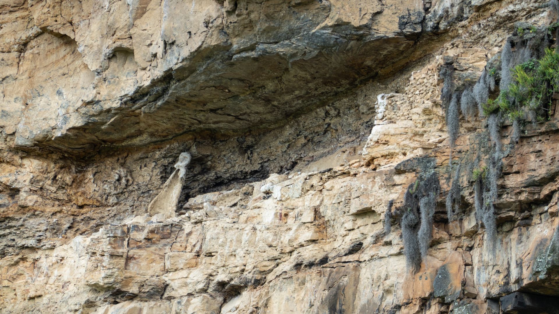 File:Sarcófagos de Karajía-4.jpg