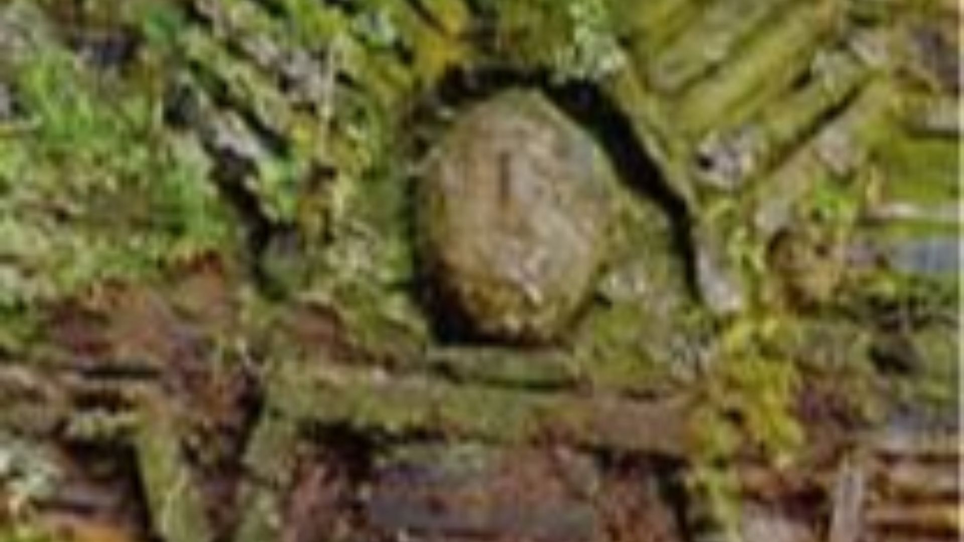 File:Relief in Gran Pajaten.jpg