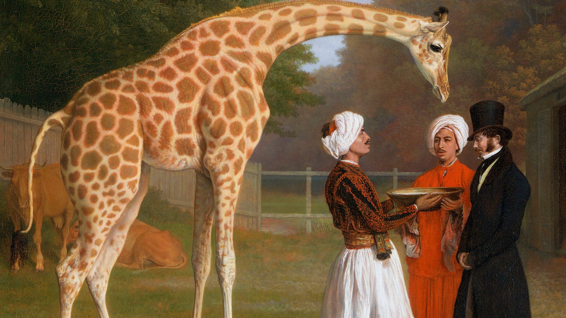 File:The nubian giraffe.jpg