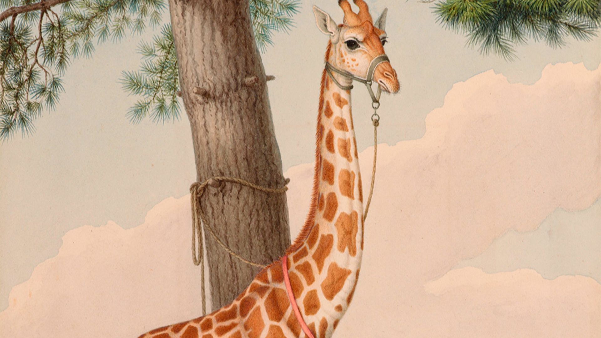 File:Nicolas Huet03.jpg