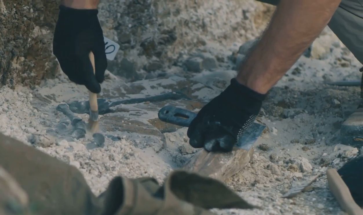 Ancient Earth Rings Discovered 