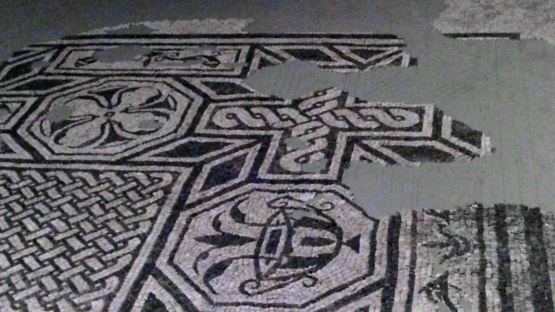 File:Treviso - Museo civico - Ancient Roman mosaic (2nd-3rd century AD) - Photo by Giovanni Dall'Orto, January 30 2016.jpg