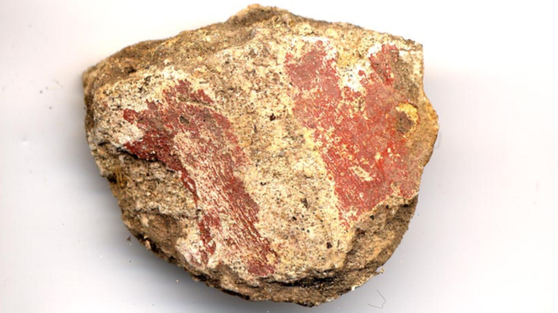 File:A fragment of Roman painted wall plaster (FindID 74058).jpg