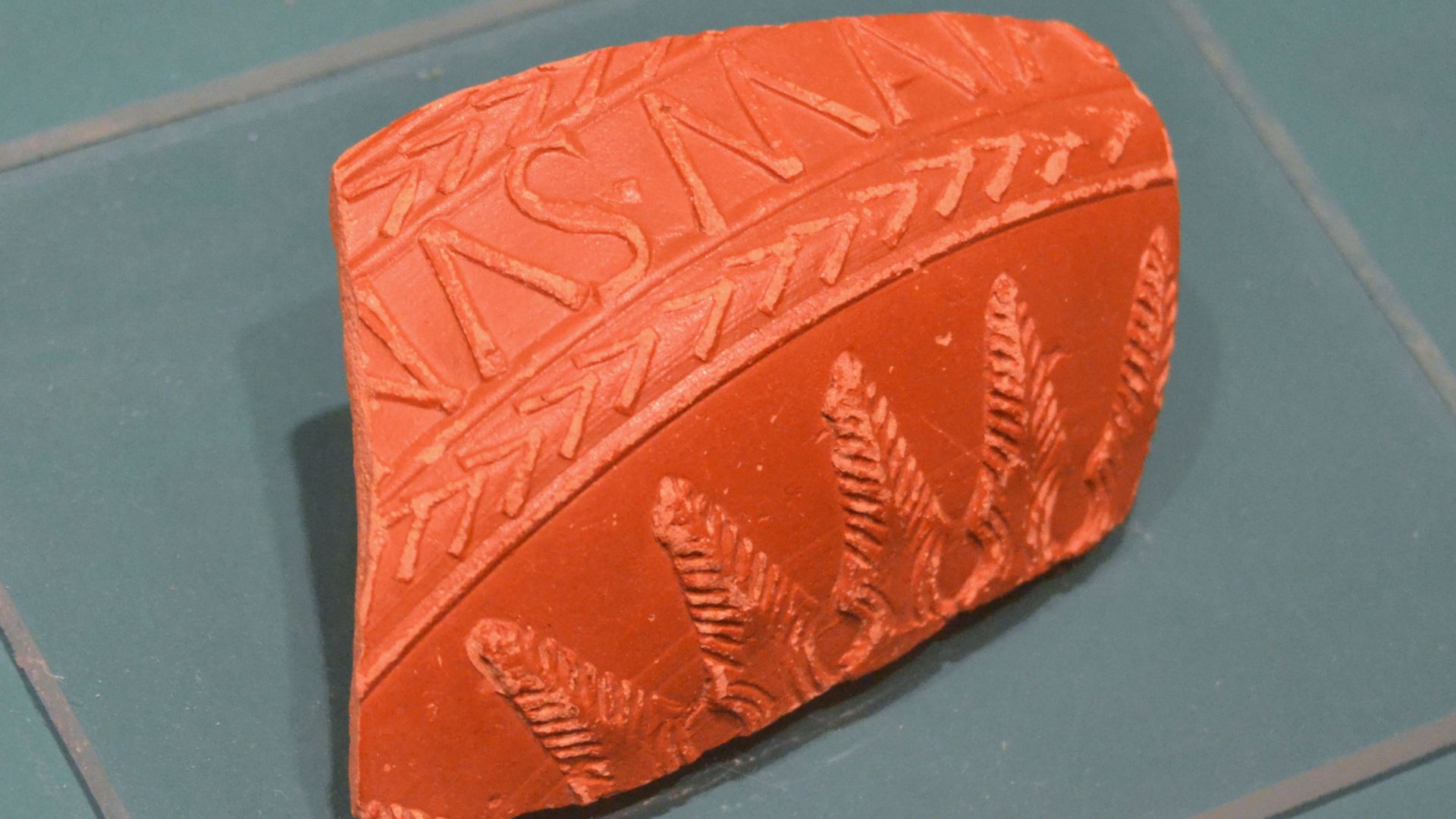 File:Fragment de bols i plats de terra sigillata hispànica i africana, vaixella fina, vil·la Cornelius.JPG