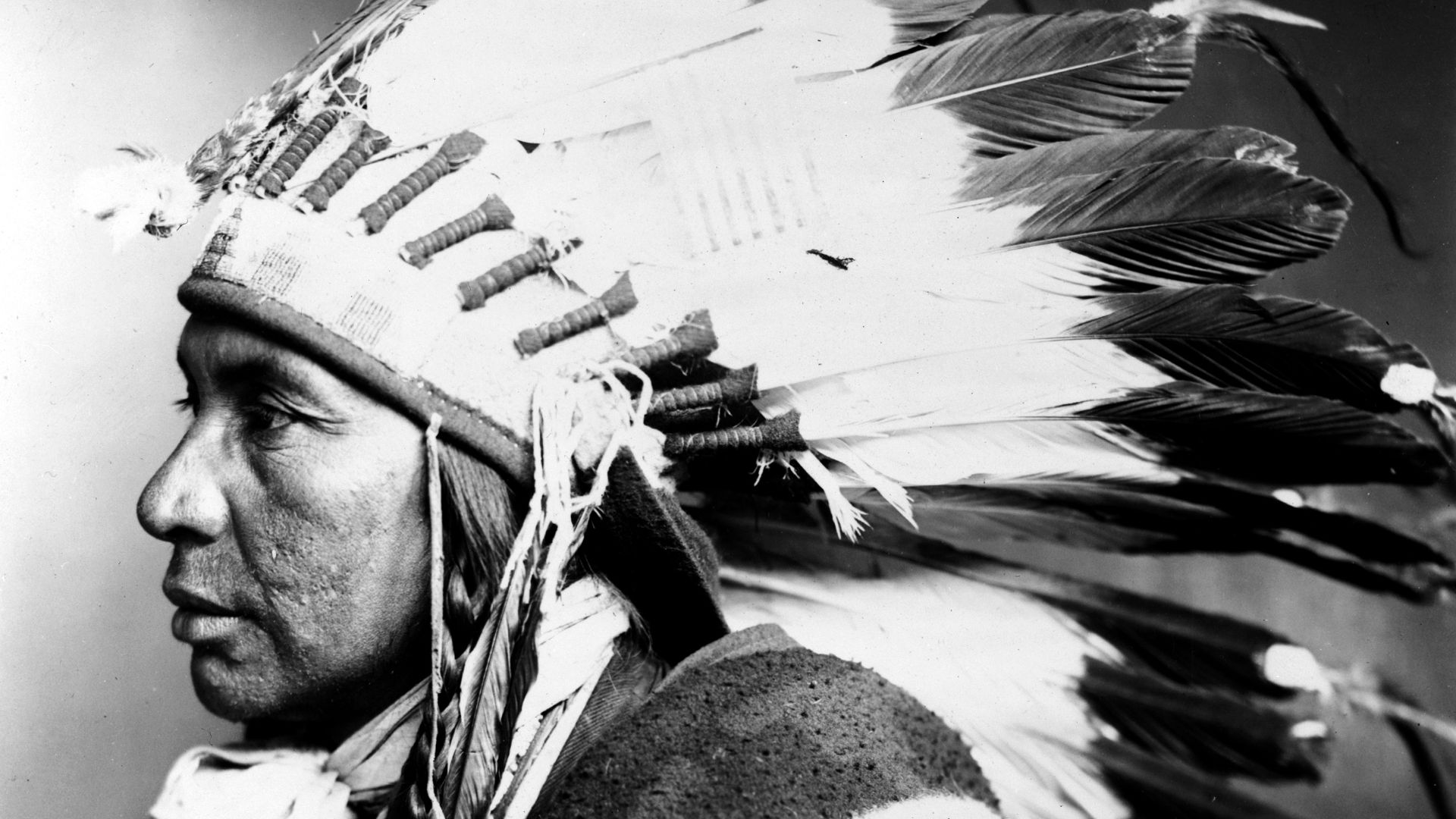 File:Sego, Shoshone, by Rose & Hopkins, 1899.jpg