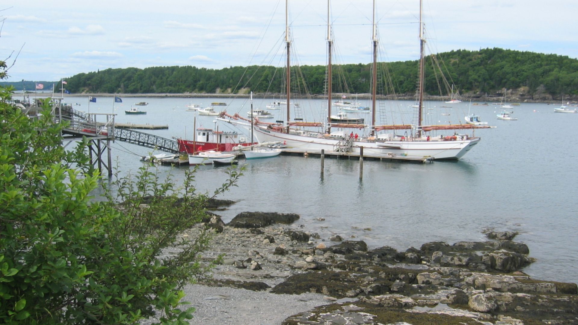 File:Ships at Bar Harbor.jpg
