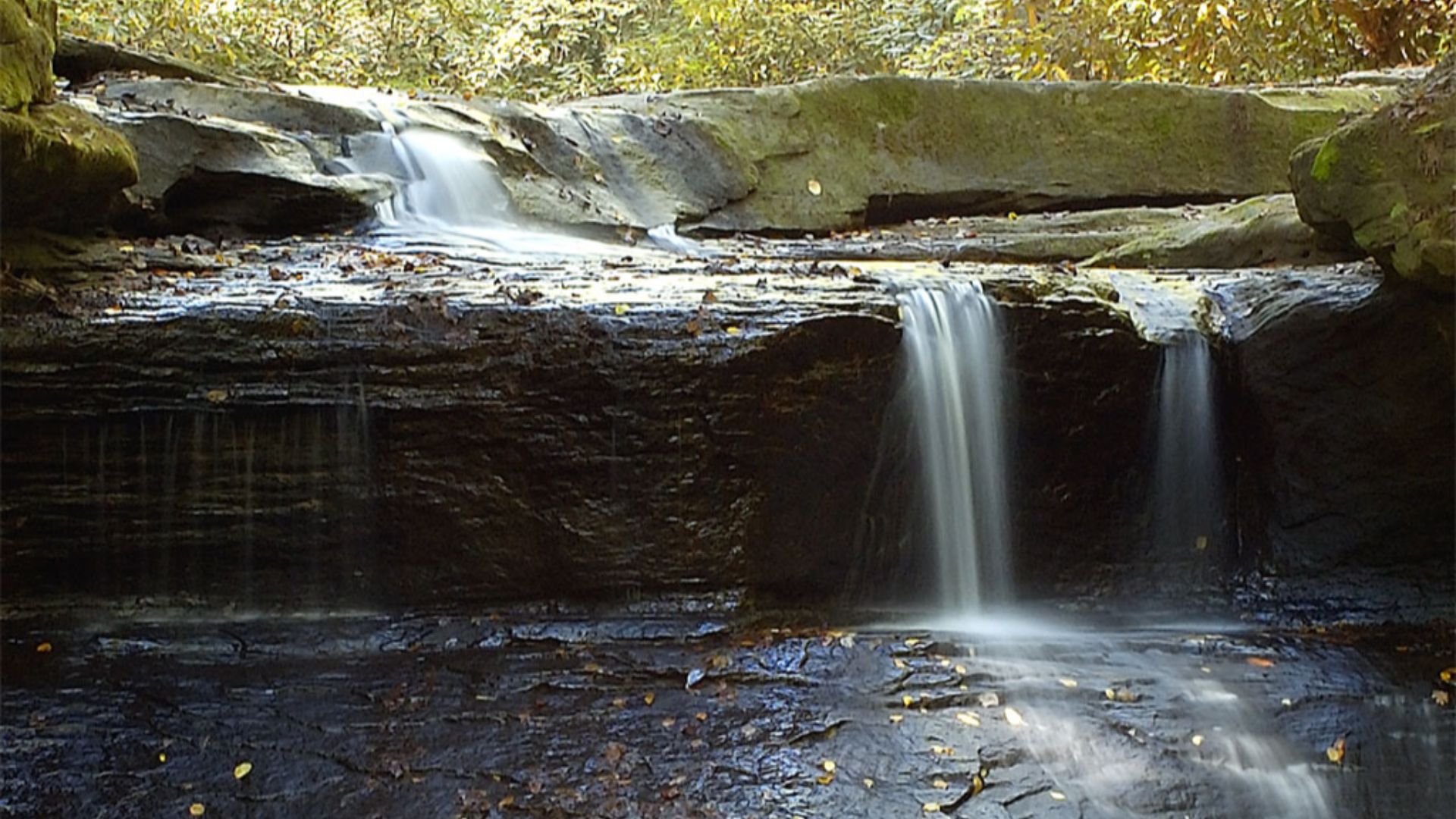 File:Red River Gorge.jpg
