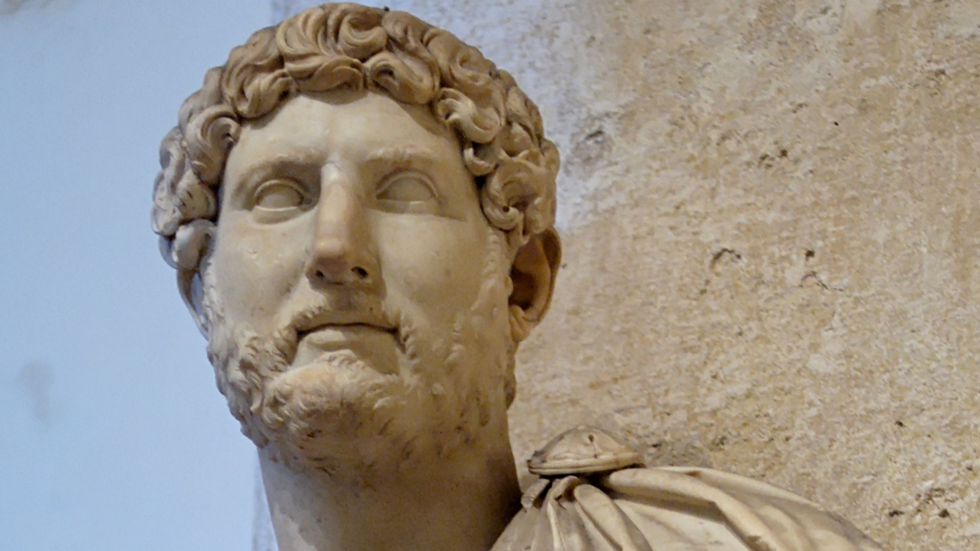 File:Bust Hadrian Musei Capitolini MC817.jpg