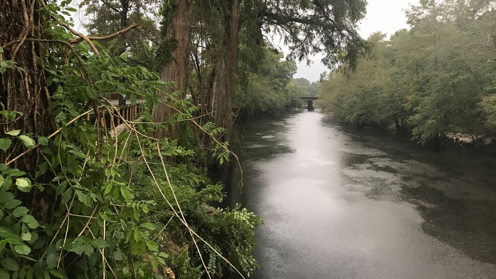 File:Lumber River, Lumberton.jpg