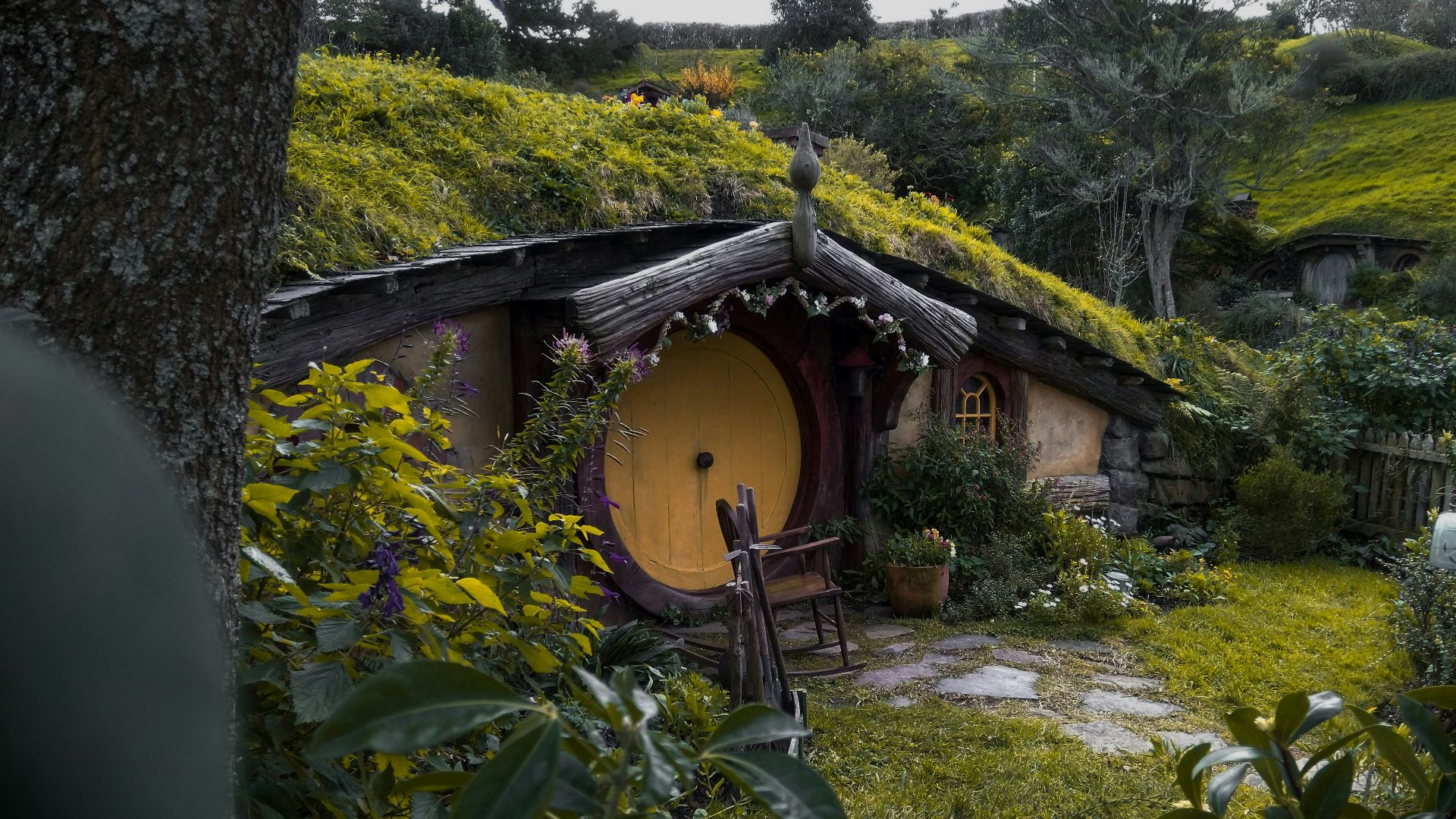 moss-covered house at daytime