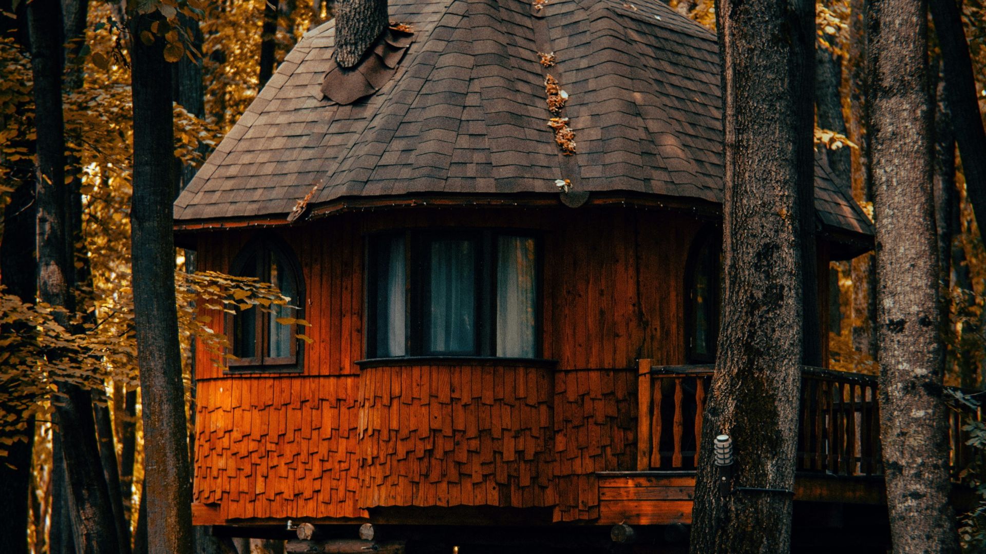 A tree house in the woods surrounded by trees