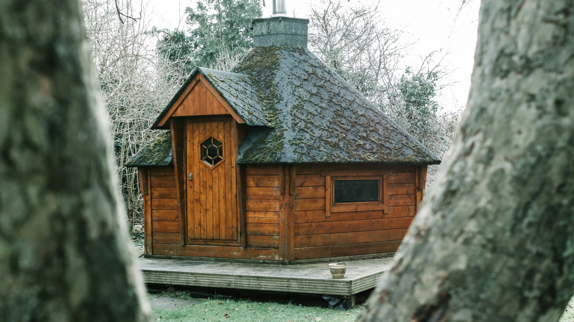 brown wooden house near trees during daytime