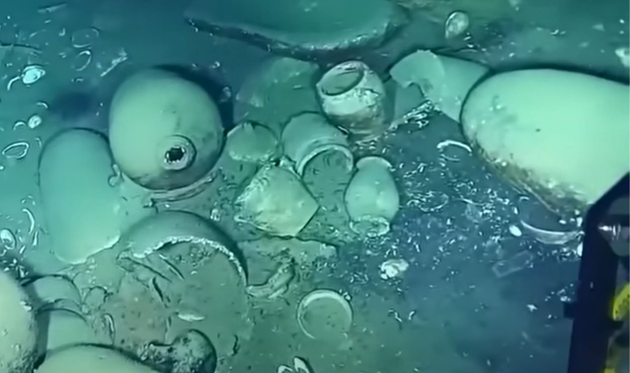 Scientific Publication