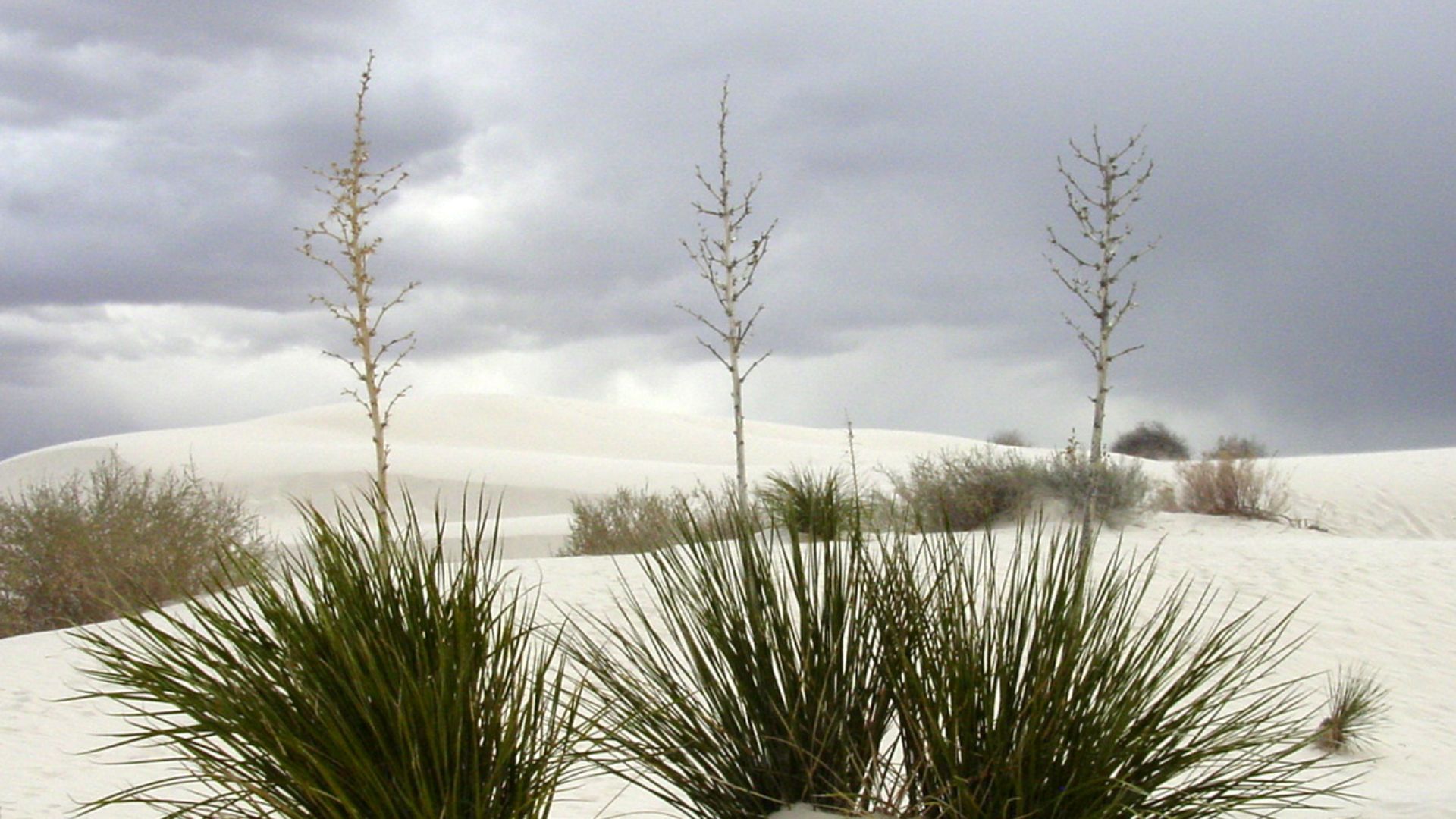 File:White Sands New Mexico.jpg