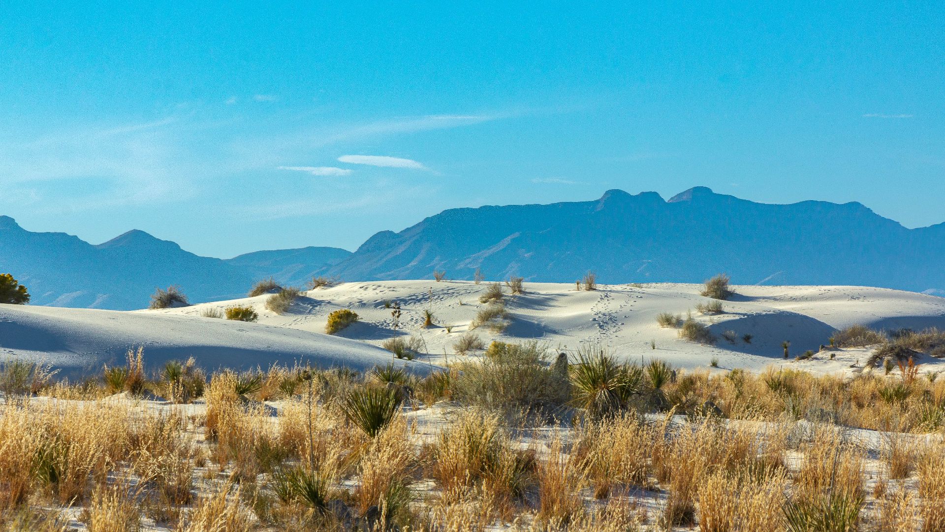 File:White Sands National Park - 51875868804.jpg