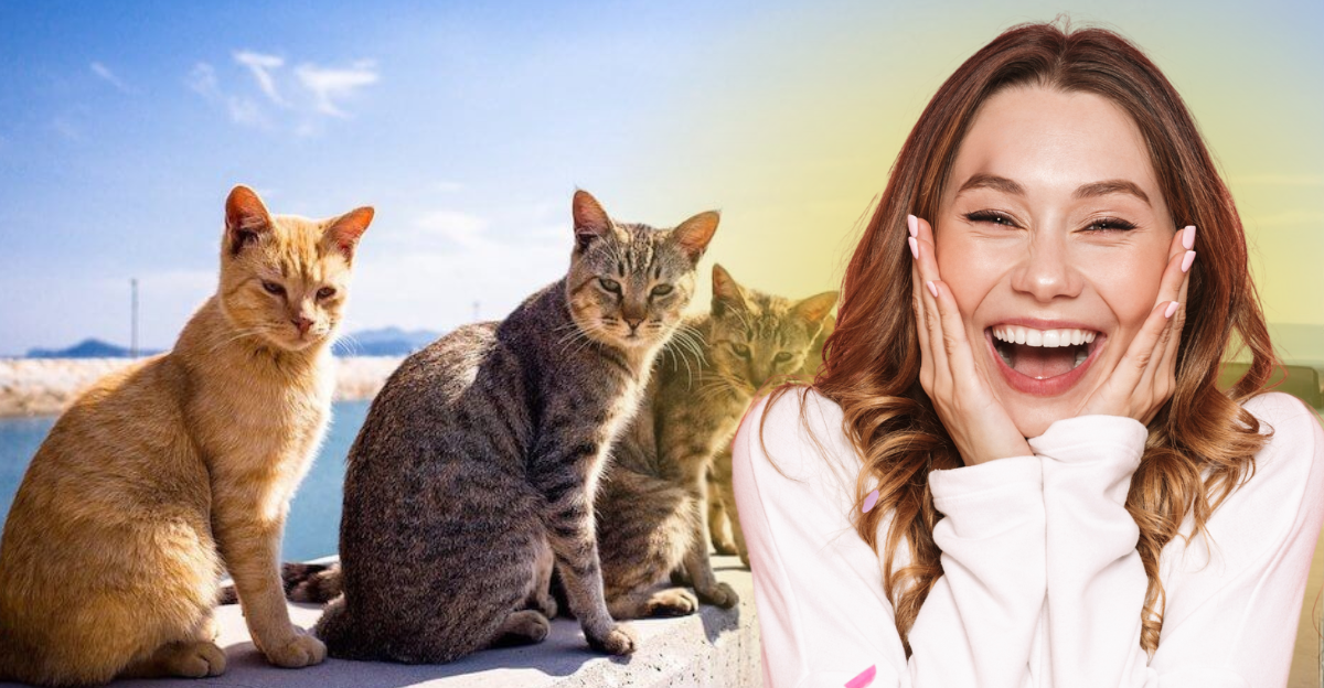 Animalislands Msn (1)