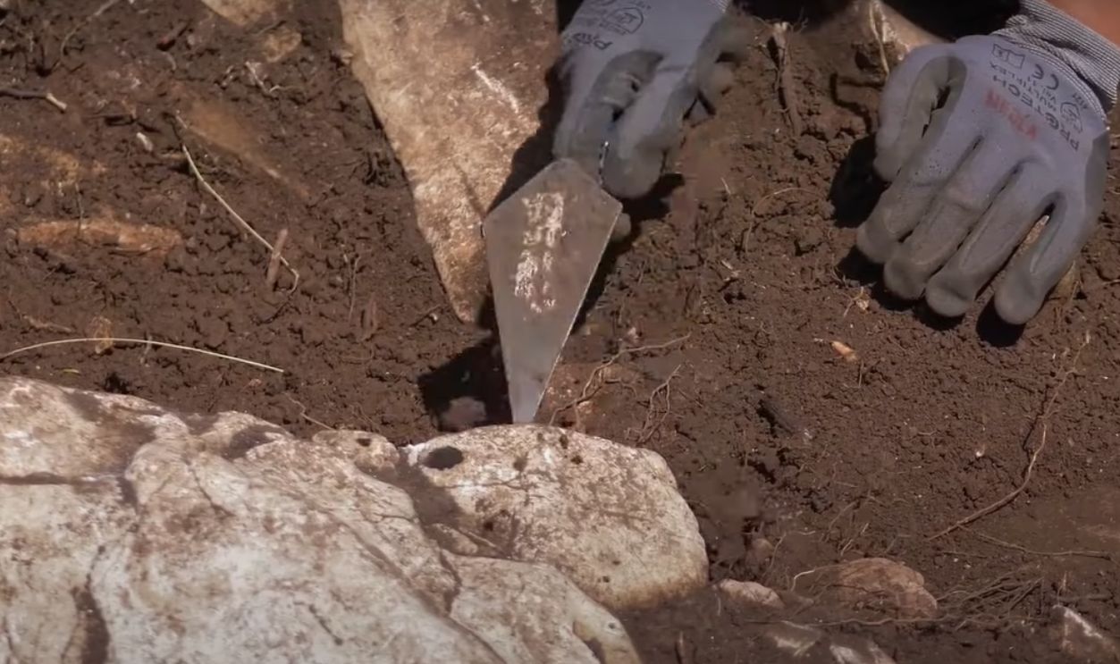 Why This Site Matters: Truth, Legacy, and Land