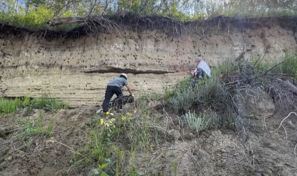 Threats from the Modern World