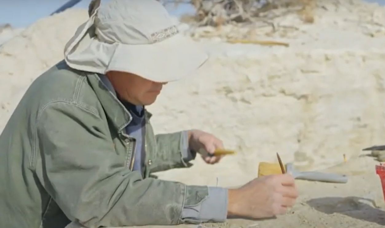 Charcoal That Tells Tales