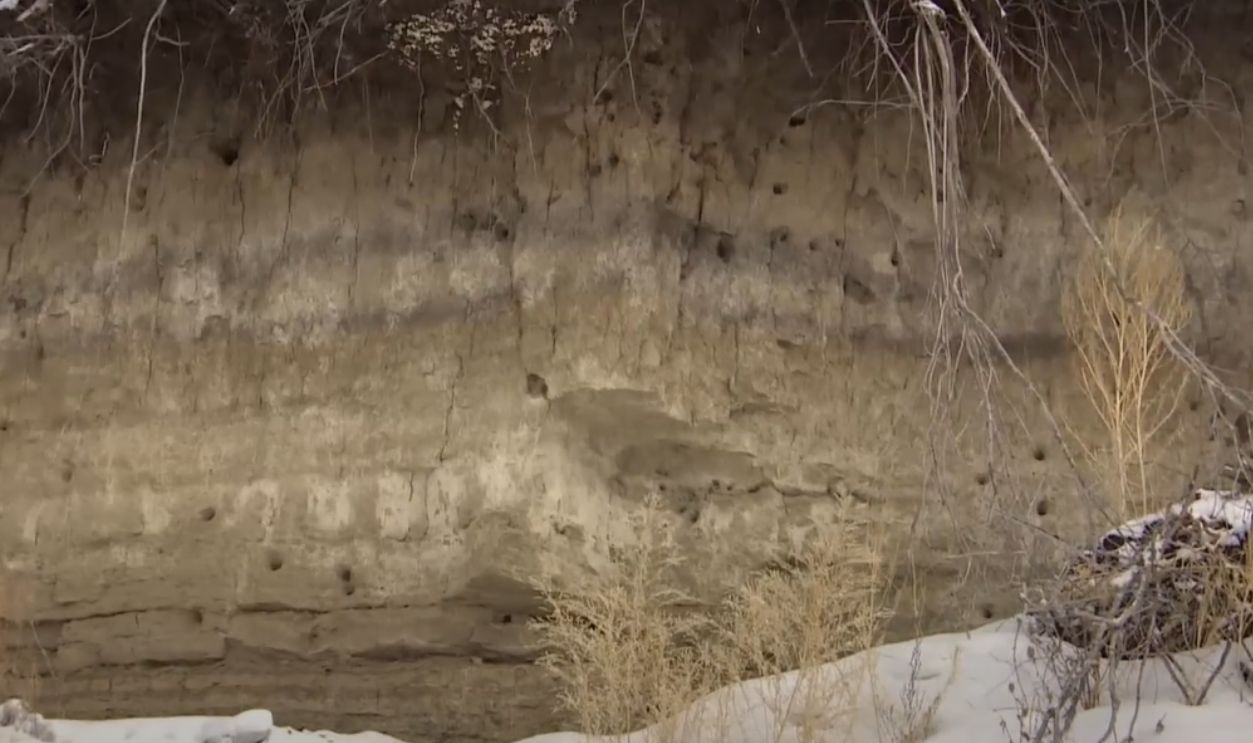 Charcoal Clues from 10,700 Years Ago